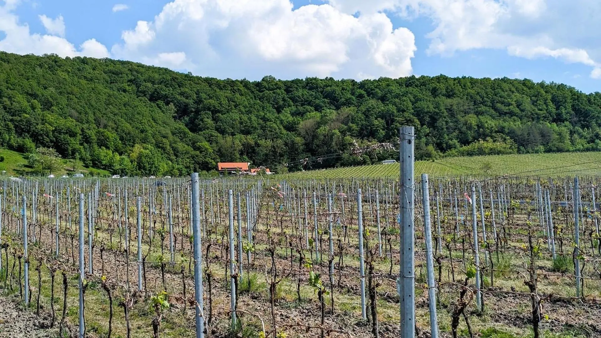 Appartamento Main Resoertchen Obernbreit 0*,